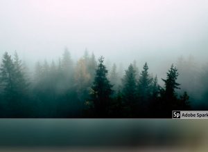 Este será el clima para los próximos meses