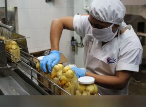 sector exportador generador de empleos