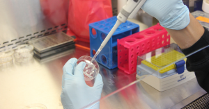 laboratorios en Guatemala