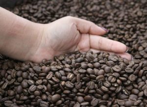 comité de cafés diferenciados de Guatemala