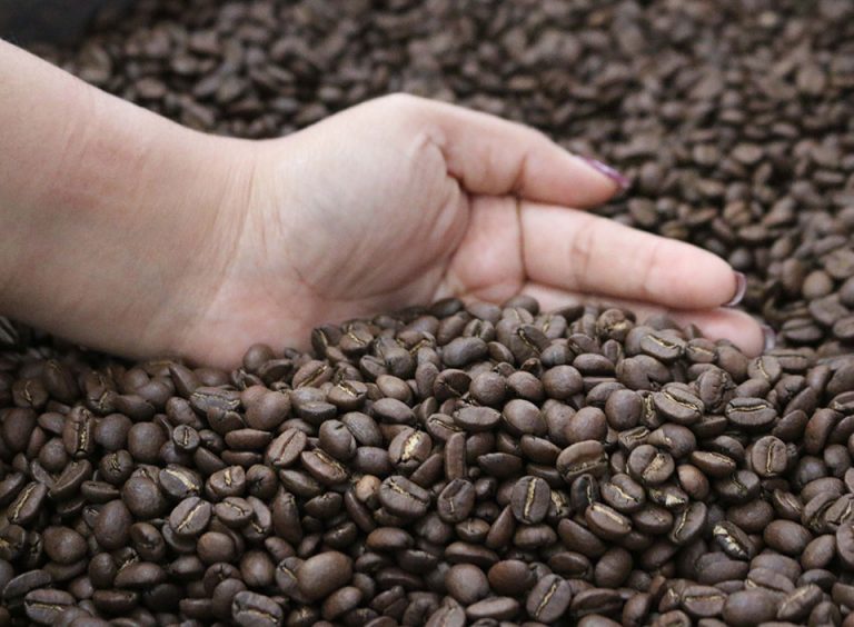 Guatemalan roasted coffee with higher added value ready to delight consumers in Switzerland, Germany and The Netherlands