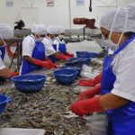Sector de Acuicultura y Pesca de Guatemala