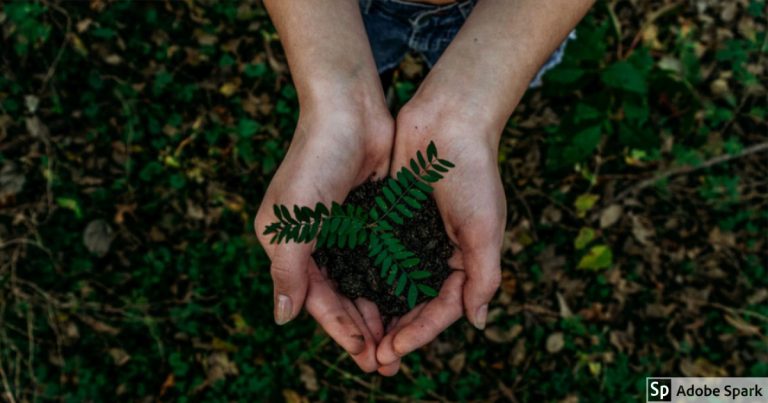 ¿Es necesario que mi empresa tenga un instrumento de impacto ambiental?