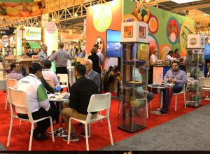 exportaciones agrícolas de Guatemala