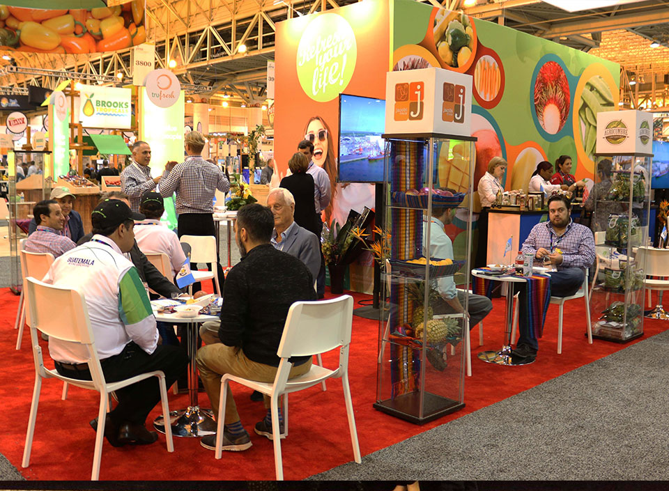 exportaciones agrícolas de Guatemala