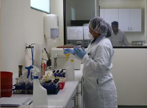 exportación de servicios