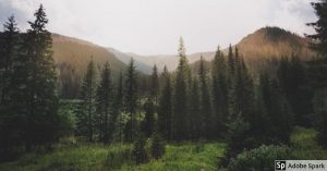 Resultados de análisis de laboratorio en la gestión ambiental empresarial
