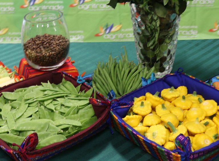 El top 5 de los productos agrícolas de Guatemala que se exportan hacia Estados Unidos