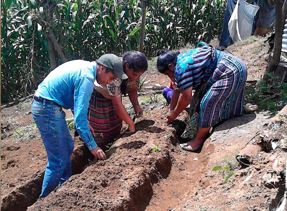 huertos familiares en Guatemala