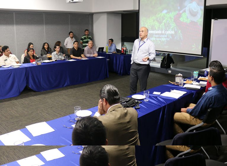 Preparan estrategia para impulsar las exportaciones de café diferenciado de Guatemala