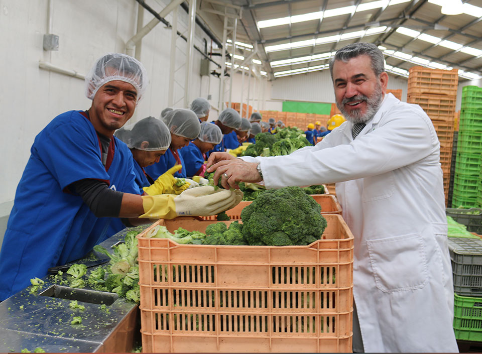 emprendedores guatemaltecos