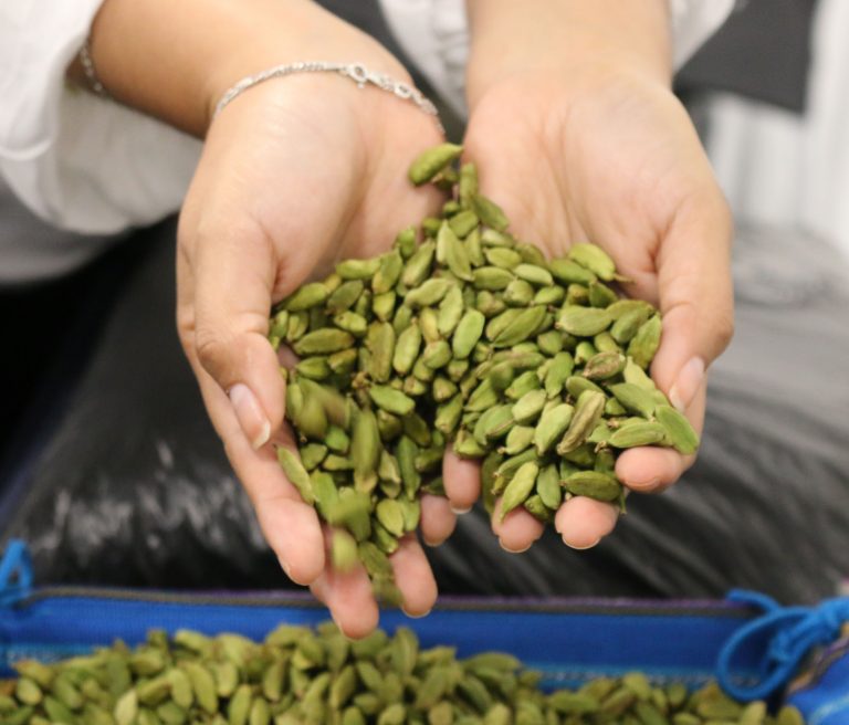 Cardamom, textiles and paper products experienced the highest growth rates among all Guatemalan exports in 2019