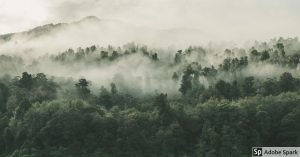 Elabore su instrumento ambiental de forma segura