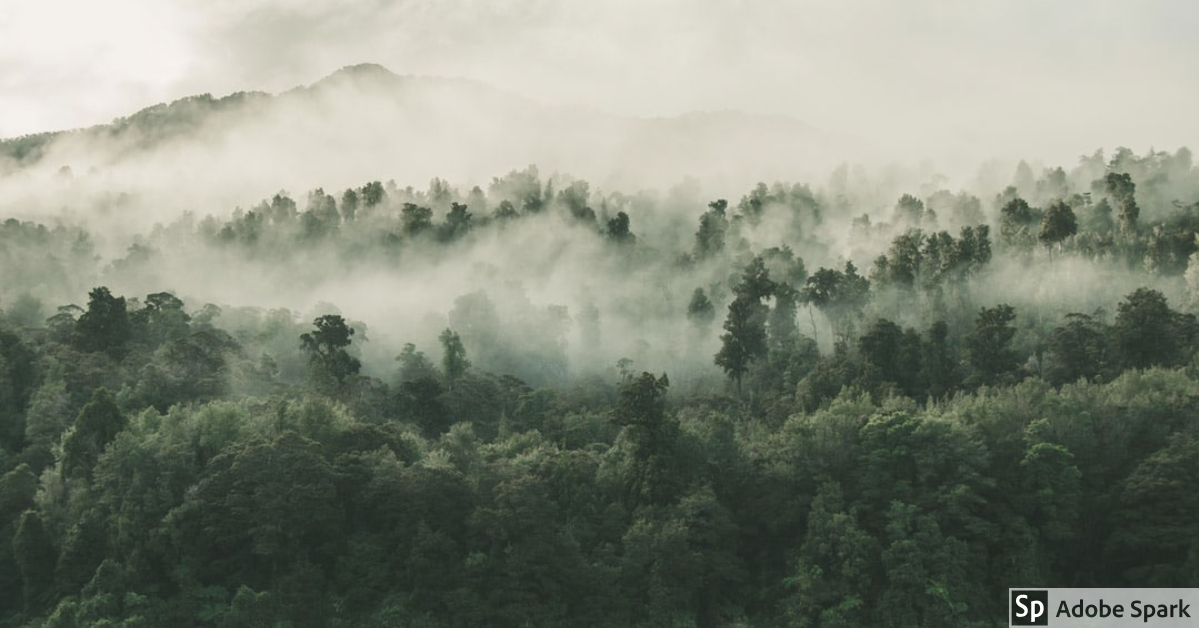 Elabore su instrumento ambiental de forma segura