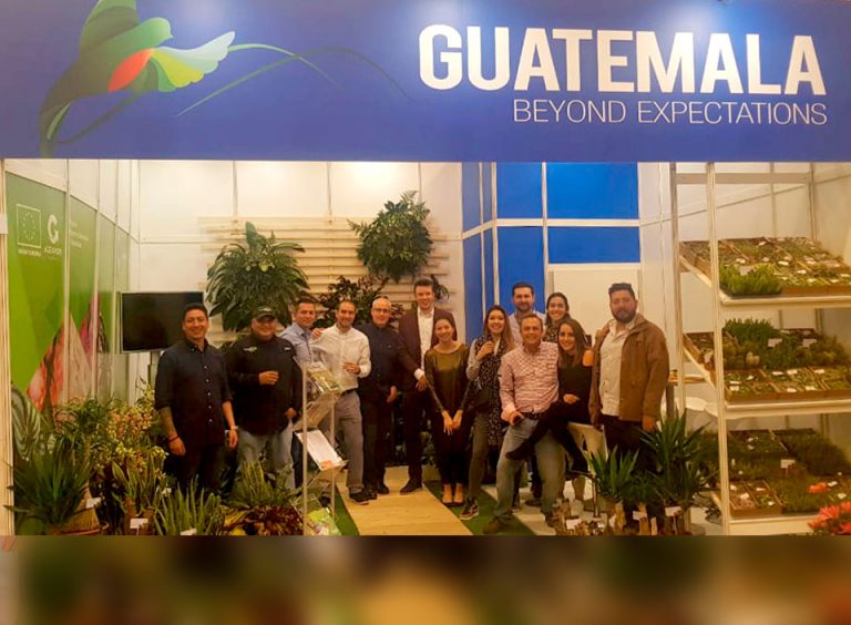 Guatemalan succulent plants, aloe vera and protea were displayed in Germany