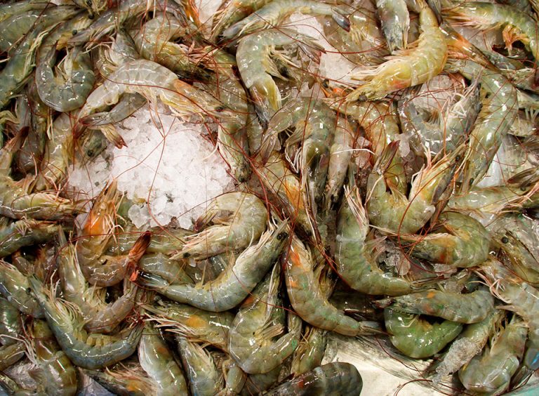 Camaronera del Sur donated 500 pounds of shrimp to families of Sipacate