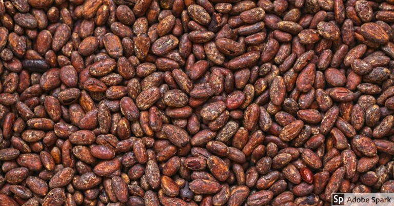 Ceras vegetales, pasta de cacao, pescado salado entre los nuevos productos que destacan en las exportaciones