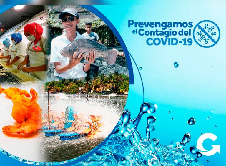 Lanzan campaña  para la prevención, control y vigilancia del COVID-19 en la industria de acuicultura y pesca de Guatemala