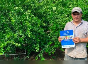 núcleos empresariales en el área rural de Guatemala