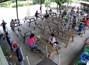 exportaciones de flores y plantas guatemaltecas
