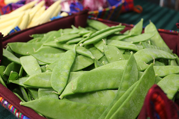 Altas tarifas en navieras castigan a pequeños productores de arvejas y vegetales de exportación