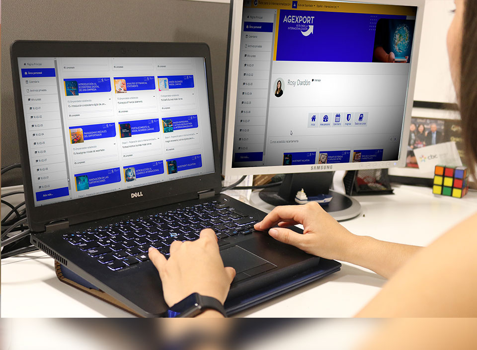 Nueva plataforma para emprendedores y pymes que buscan exportar: “Export Learning”
