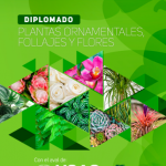 flyer-diplomado-de-flores