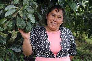 Una agricultora de aguacates que sueña con exportar