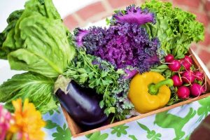 ¿Qué Esperar Durante una Inspección de la FDA en el marco de la Norma de Inocuidad de Productos Agrícolas Frescos?
