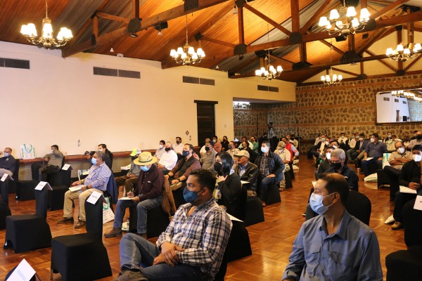Productores, técnicos y exportadores guatemaltecos de aguacate se retan a aumentar la producción