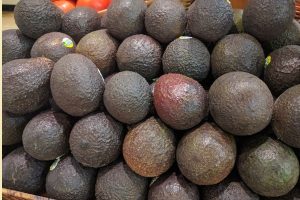 Aguacate guatemalteco busca espacios comerciales en Estados Unidos