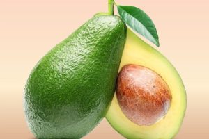I Congreso de Aguacate dará a conocer el potencial nacional para la exportación