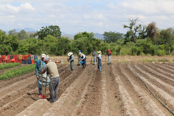 La propuesta para fortalecer alianzas locales y reducir la migración