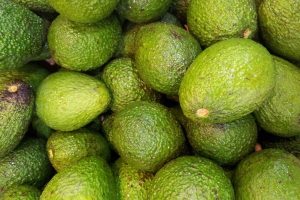 ¿Cómo instalar huertos de aguacate?