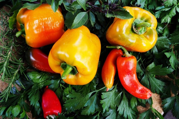 Alimentos inocuos ahora para un mañana saludable