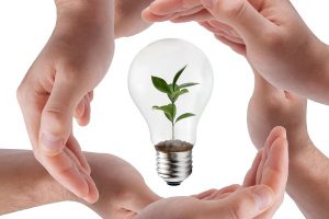 Descubra los conceptos básicos de la Economía Circular