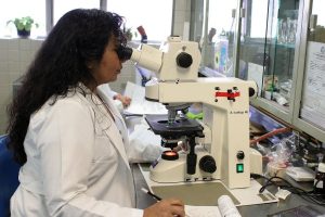 Empresas Farmacéuticas pueden formar parte de la capacitación de Gestión de Riesgos