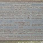 historia-aguacate-hass