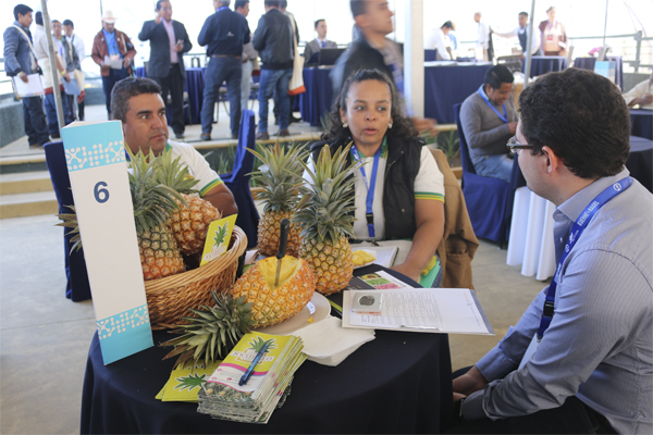 Agro Encuentros Nacionales, una plataforma comercial que reúne a productores de áreas rurales con empresas exportadoras