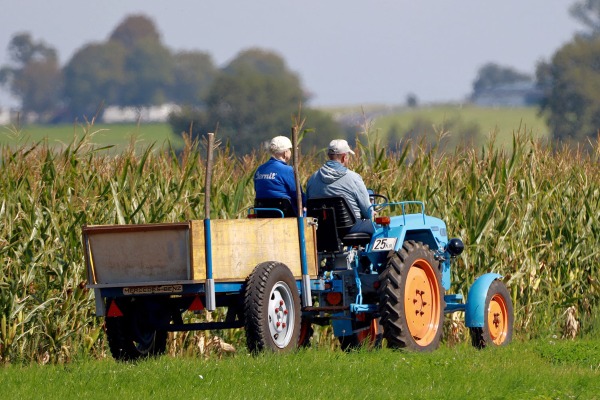 Exportaciones Agrícolas: ¿Cómo cumplir con las Certificaciones de Sostenibilidad sin morir en el intento?