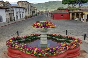 La Comisión de Plantas Ornamentales, Follajes y Flores participó por segundo año consecutivo en el Festival de las Flores 2021