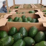 WhatsApp-Image-2021-05-10-at-10.18.08-1-1