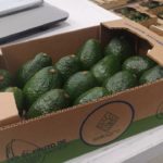 WhatsApp-Image-2021-05-10-at-10.19.49-1