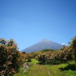 WhatsApp-Image-2021-05-17-at-20.38.03-1