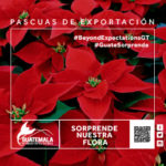 GBE-Navidad_Banner-Web-300x250pX