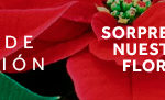 GBE-Navidad_Banner-Web-728×90