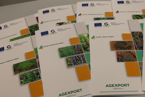 Romero, tomillo, lavanda, jengibre y 15 plantas dentro de la estrategia de diversificación de oferta agrícola exportable para aprovechar el creciente mercado de aceites esenciales