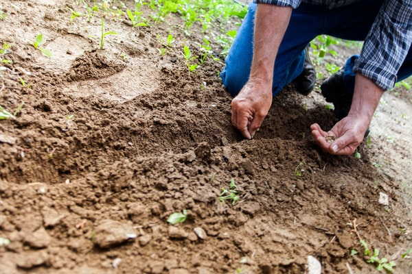 ¿Cuáles motivos ha llevado a la FDA a proponer cambios en la norma de uso de agua para la agricultura bajo la Ley FSMA?