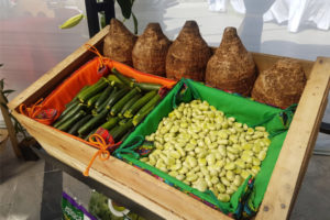 AGRITRADE, EXPO & CONFERENCE 2022, el evento que afianzará al sector agrícola guatemalteco y lo impulsará hacia nuevos mercados