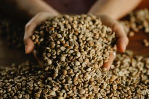 Café sin tostar ni descafeinar entre los principales productos exportados en febrero 2022